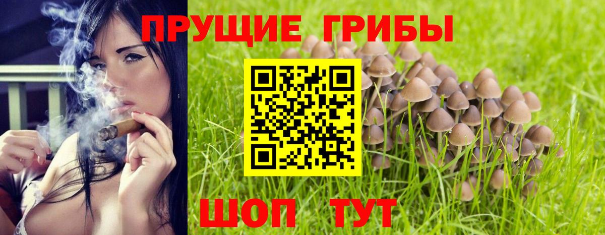 Галлюциногенные грибы GOLDEN TEACHER Саранск