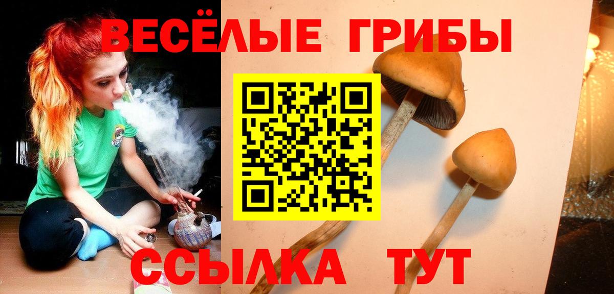 Саранск  Галлюциногенные грибы Cubensis  Псилоцибиновые грибы прущие грибы  Вход с VPN 